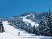 �y�G�[�XJTB�E�������s�z����c�A�[�E����̗��فE�z�e���\��@